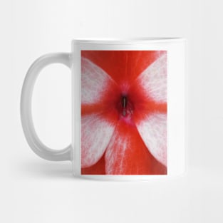 closeup macro photography of bright red and white dahlia bloom Mug